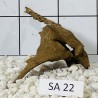 Samoa wood 22