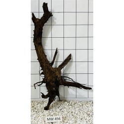 Mangrovewood 494