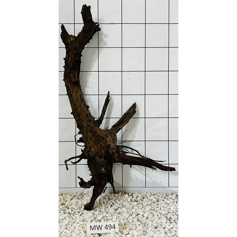 Mangrovewood 494
