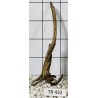 Spiderwood 432