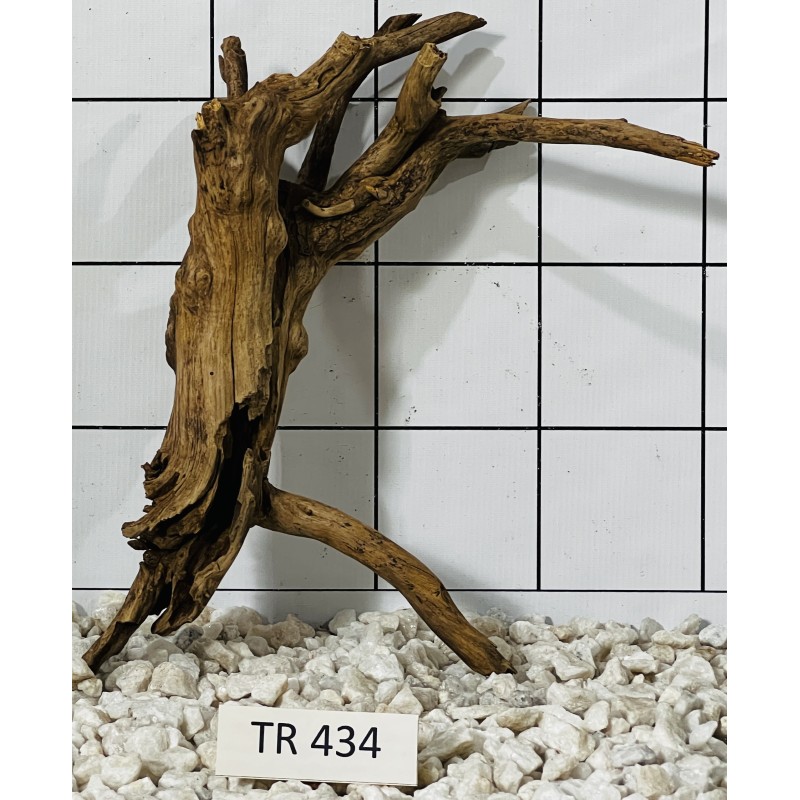 Spiderwood 434