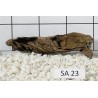 Samoa wood 23