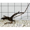 Spiderwood 437
