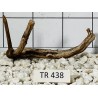 Spiderwood 438