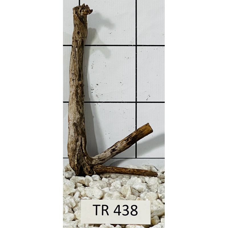 Spiderwood 438