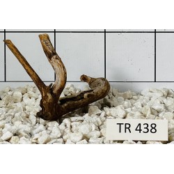Spiderwood 438