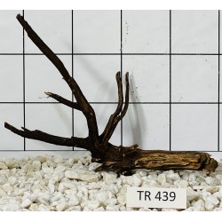 Spiderwood 439