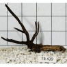 Spiderwood 439