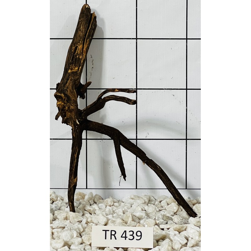 Spiderwood 439
