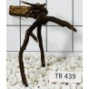 Spiderwood 439