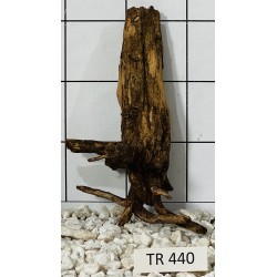 Spiderwood 440