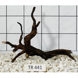 Spiderwood 441