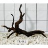 Spiderwood 441