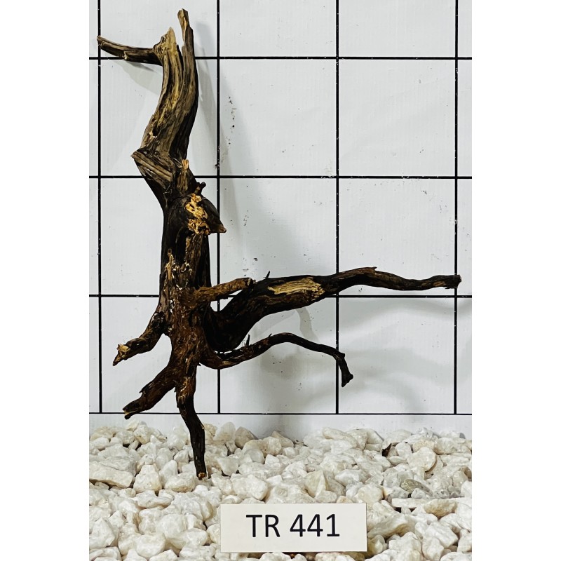 Spiderwood 441