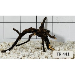 Spiderwood 441