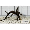 Spiderwood 441