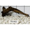 Spiderwood 442