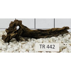 Spiderwood 442