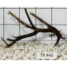Spiderwood 443