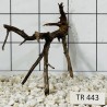 Spiderwood 443
