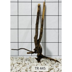Spiderwood 445