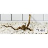 Spiderwood 446
