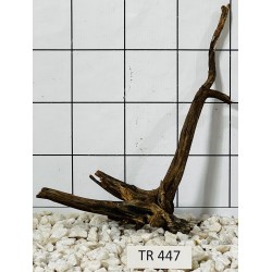 Spiderwood 447
