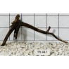 Spiderwood 447