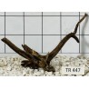 Spiderwood 447