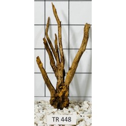 Spiderwood 448
