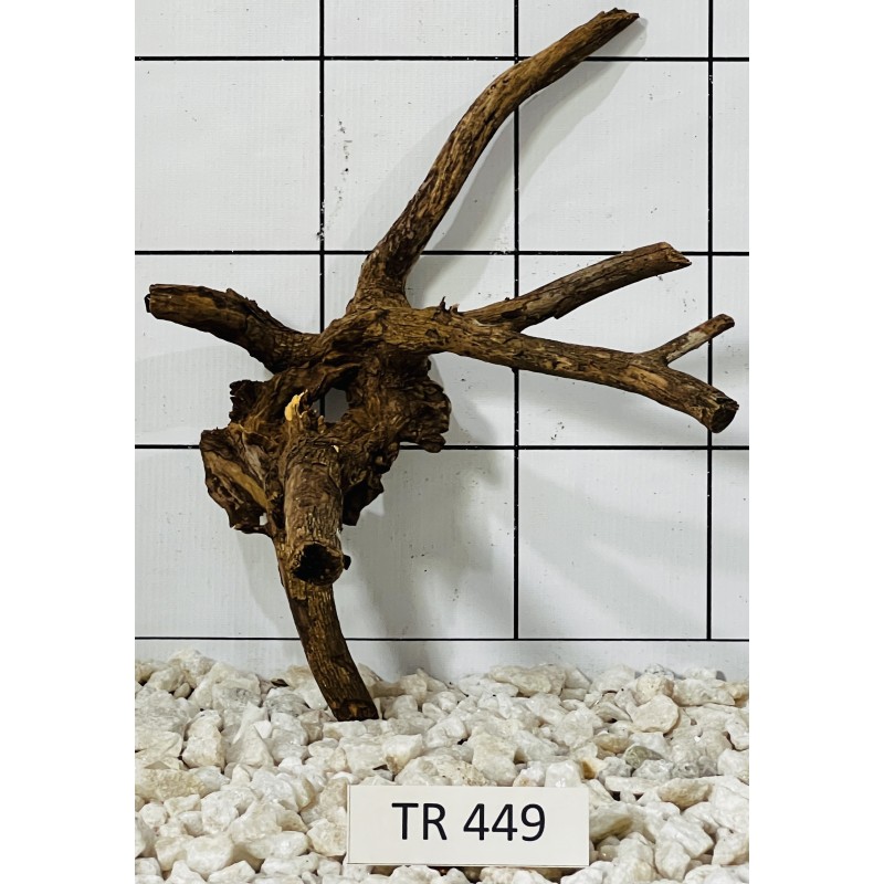 Spiderwood 449