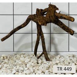 Spiderwood 449