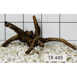 Spiderwood 449