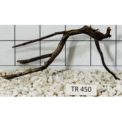 Spiderwood 450