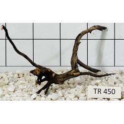 Spiderwood 450