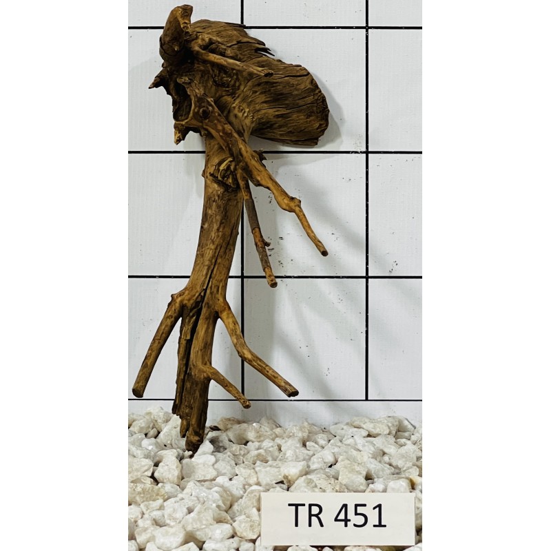 Spiderwood 451