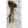 Spiderwood 451
