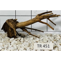 Spiderwood 451