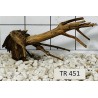 Spiderwood 451