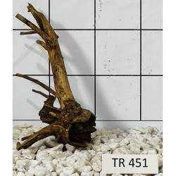 Spiderwood 451