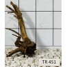 Spiderwood 451