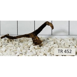 Spiderwood 452