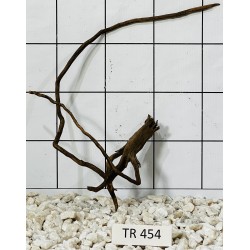 Spiderwood 454