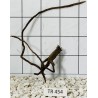 Spiderwood 454