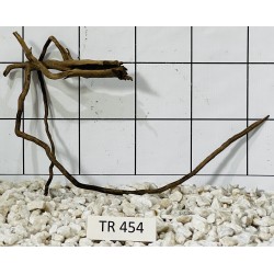 Spiderwood 454