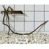 Spiderwood 454