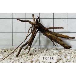 Spiderwood 455