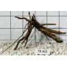 Spiderwood 455