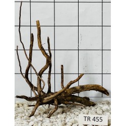 Spiderwood 455