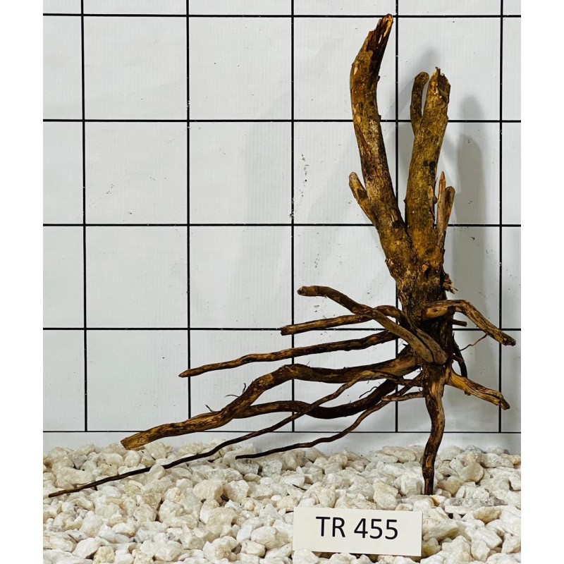 Spiderwood 455